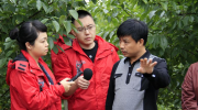 洛师美院就业新举措 毕业学子返校再培训
